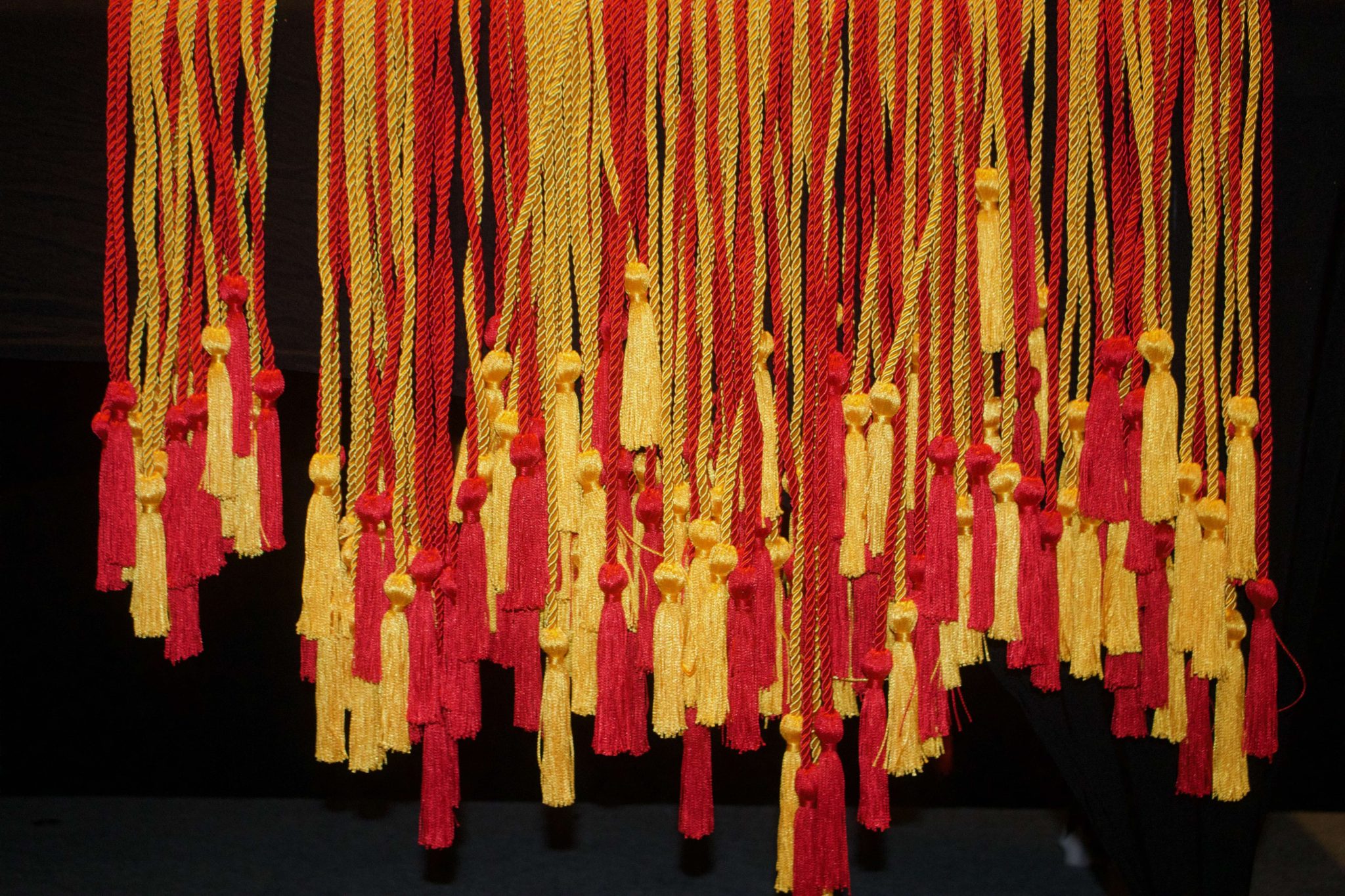 Yellow and red leadership certificate cords.