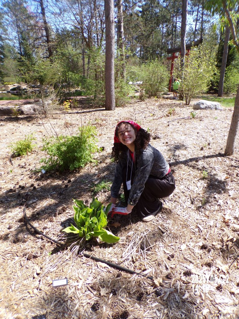 An outdoor shot of a 2025 WEBT student, Angeline, crouched down and pruning a shrub as part of a volunteer project at the Monk Botanical Gardens.