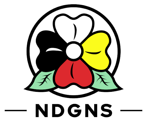 Logo for the NDGNS(Network for Development and Growth of Native Solidarity)
